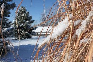 Thornton snow near Eastlake Reservoir, Christmas Eve 2009. Check out more photos of the snow in our slideshow below!  (ThorntonWeather.com)