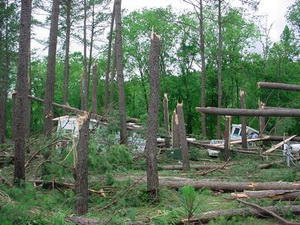 Straight line winds can be as damaging as a tornado. This image is from a park in Tennessee. (NWS)