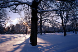 Winter Weather Preparedness Week recap.