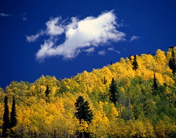 ThorntonWeather.com's picks for the best drives to view the fall foliage.
