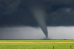 The 2009 National Storm Chaser convention will be February 13 - 15, 2009.