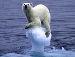 The polar bears won't be happy!  New UK climate change computer emits as much CO2 as 2,400 homes.