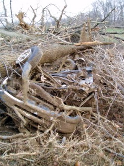 Should you ride out a tornado in your vehicle?  The  Red Cross has issued new guidelines that conflict with those from the National Weather Service.  This photo is of a Ford Ranger pickup truck that was blown one-quarter mile and found underneath tree debris after the March 28, 2009 tornado near Corydon, KY.  (NWS)