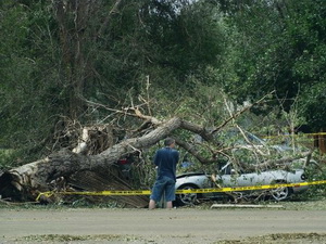 A man surveys damage to a vehicle struck by a fallen tree after last week's storms. The June 20th hail and wind storm has racked up costs of $350 million in insurance claims.  Image courtesy Becki Mullen.