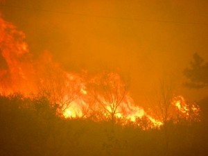 The High Park Fire rages in the mountains west of Fort Collins, Colorado.  The dry conditions have prompted the state to ban all open burning and personal use of fireworks.