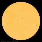 SDO/HMI Continuum Image of the Sun
